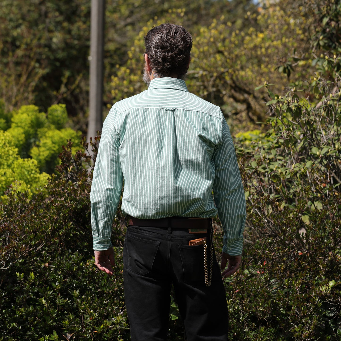 Oxford Cloth Button Down Evergreen Stripe