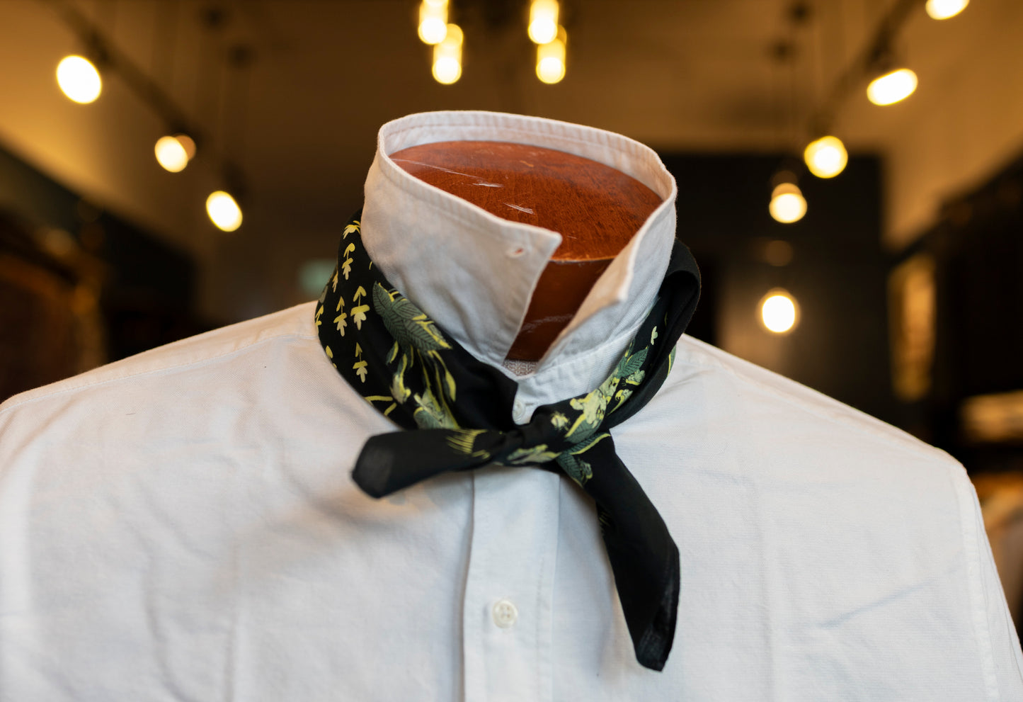 Shadow Puppets - Dark Forest